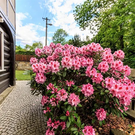 Appartement Arnoltice 11 Deluxe By Interhome *